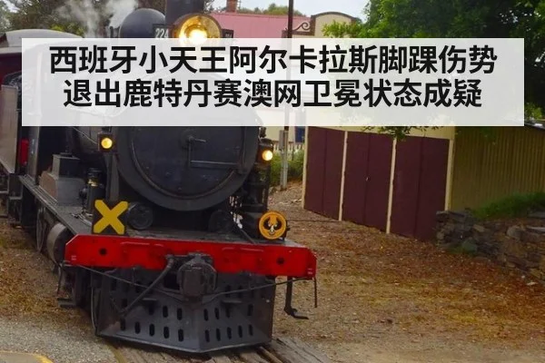 西班牙小天王阿尔卡拉斯脚踝伤势退出鹿特丹赛澳网卫冕状态成疑